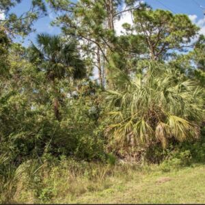 Lehigh Acres, Florida (Lee County) - APN 12452707000310340 (photo 2)